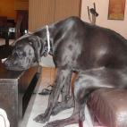 5c8b265222000051001a68b0