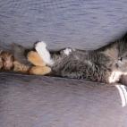 5c8b265322000051001a68b2