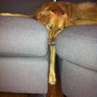 5c8b26532000009e04704560