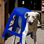 5c8b2654230000d504243cfb