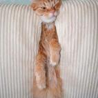 5c8b26542400006d054cfb19