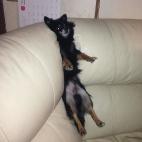 5c8b26542400006b054cfb1b