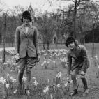 5c8a7361360000c81a6b7de0