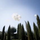 El Bosque del Recuerdo en el Parque del Retiro.