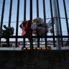 Flores cerca de las vías del tren en Madrid.