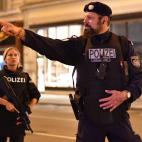 Atentado con varios focos en el centro de Viena, Austria