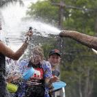 5c8b227022000033001a5ec3