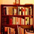 @Itzcoatl5 #mibiblioteca pic.twitter.com/Wqj6DzE5aY