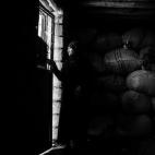 Premio de honor de Temas contemporáneos