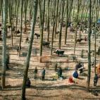 Primer premio individual de Vida cotidiana