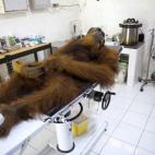 Tercer premio individual de Naturaleza