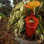 Segundo premio de reportaje de Naturaleza