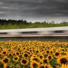 Tiebas-Muruarte de Reta (Navarra)