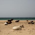 Playa de Bolonia, Tarifa (C&aacute;diz)