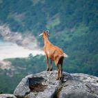 O H&iacute;o (Pontevedra)