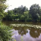 En las riberas del Sévre y el Moine, los ríos que rodean Clisson, había más de 40 molinos dedicados a diversos usos. Después de ser quemados hasta los cimientos por los revolucionarios franceses, se reconstruyeron con motores de vapor.