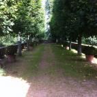 Lemot demolió el antiguo barrio de la Trinidad en el siglo XIX, y en su lugar levantó un parque romántico, mezclando los estilos de la Toscana que tanto admiraba. En el parque pueden encontrarse jardines italianos, franceses e ingleses.