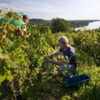 5c8af6942300003000e771d9