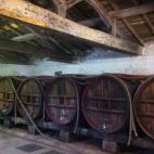 5c8af6952400006b054cb9a5