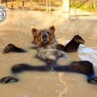 5c8b5ce224000093024d48ba