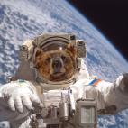 5c8b5ce2360000c81a6ce434