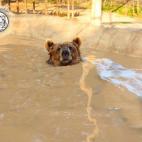 5c8b5ce222000030001ab6c4