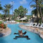 5c8b5ce4230000d504248a66