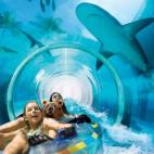 5c8b5ce42400004205a48569