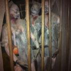 ¿Qué hace el equipo cuando entra alguien que conocen? "Son los que más miedo tienen, saben que voy a darles doble ración. Y alguna vez he entrado yo como público. Me da yuyu… No es lo mismo estar trabajando que ir de visitante. Yo lo paso...