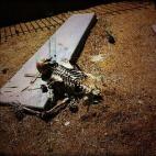 Perales, el gerente, era un fanático del Caserón. "Acabé la carrera de ADE trabajando aquí", asegura sonriendo. Estuvo muchos años interpretando a los Locos. "Un día, una chica empezó a chillar y a decir: '¡Que no puedo más, que me meo ...