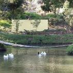 No lejos del Machu Picchu, las piscinas termales de Santa Teresa son una parada obligada para muchos de los caminantes que pasan por la zona. Con temperaturas de entre 40 y 44ºC, las piscinas están abiertas las 24 horas, lo que las convierte e...