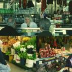 5c8b76cb230000d50424ccdf