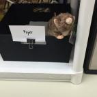 5c8b441e2400006b054d3416