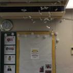 5c8b44202000004304707c62