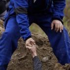 5c8b2ee024000093024d0f06