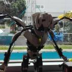 "Es un set bastante extraño ya que saca a un personaje como el General Grievous a cuerpo completo", considera Alomar.