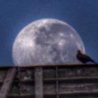 5c8a973e2400006f054c0a07