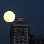 5c8b307e22000033001a80ea