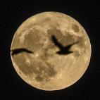 5c8b30813b000072066d3007