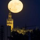 5c8b3081230000dd04245491