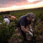 Los recolectores siguen trabajando