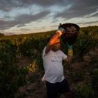 5c8b3da52000009d0370768a