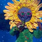 "Soy muy religioso. Siempre intento ser un buen girasol y que no se marchiten mis flores".