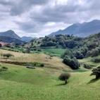 5c8b420e250000e203ca62a7