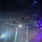 5c8b29032300005400e7ba1b