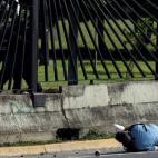 5c8a3aa12300007f0122d515