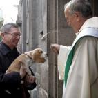 "¿Le han dolido las críticas de los ciudadanos en la calle? Las he tenido y algunas públicas, que han causado un gran quebranto no en mi persona, sino en a persona de mi perra, me dolió muchísimo cuando fue sometida a un escrache y tardó e...