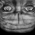 5c8b45f02500000704ca65fe