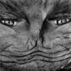 5c8b45f03b000072066d529e