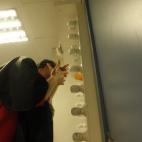 El azul intenso de los ojos de Joaquín Reyes no vale para sus celebrities. La mayoría exige un cambio de color y eso se consigue con lentillas.